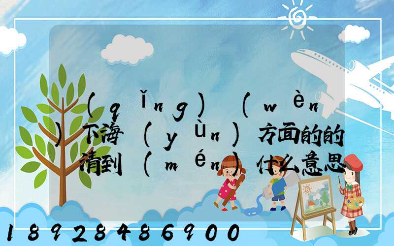 請(qǐng)問(wèn)下海運(yùn)方面的的雙清到門(mén)什么意思然后跟DDU、DDP有什么差別